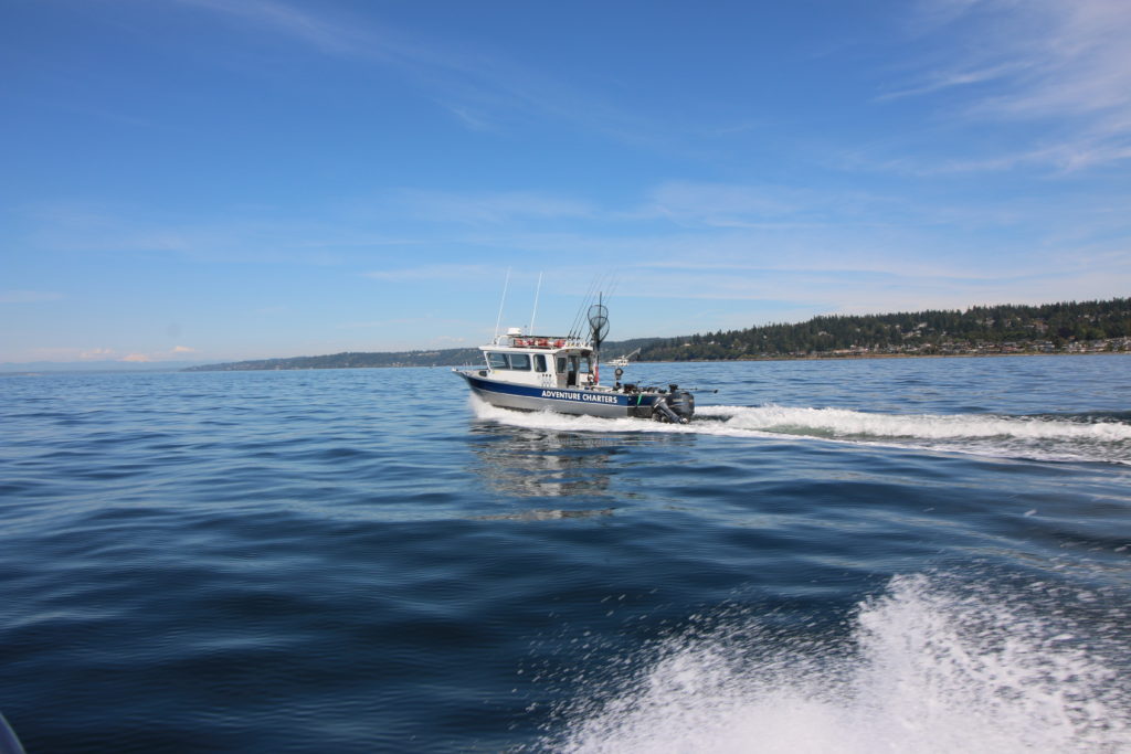 charter sailboat seattle